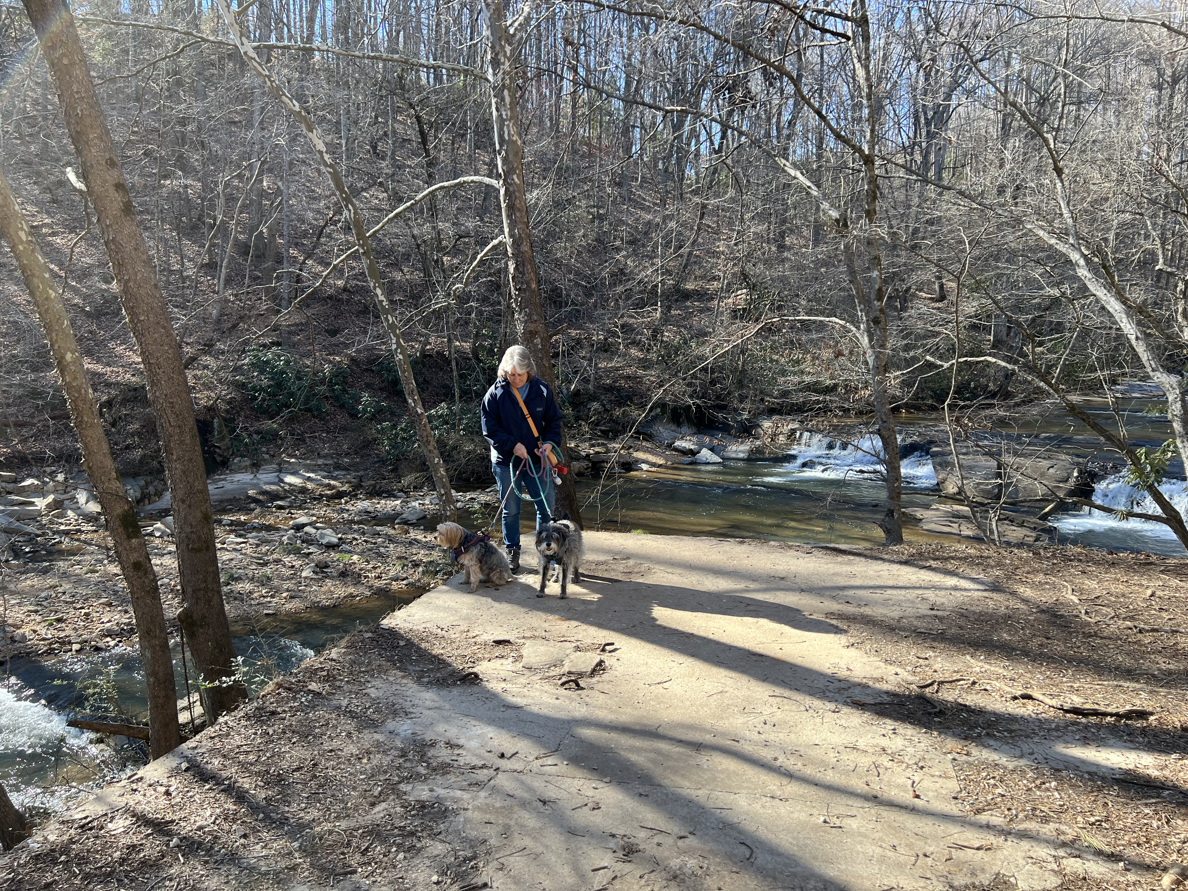 ./2025/01 - Byrds Branch/IMG_5185.jpg